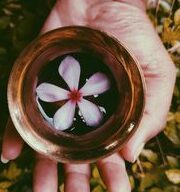 A close-up of a hand holding a brass bowl with a purple flower floating inside, surrounded by greenery.